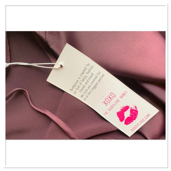 NWT Buddy Love Celine Silk Slip Dress Wine Color Size Medium - Picture 7 of 8
